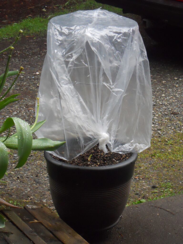 16 Ways to Reuse or Repurpose Plastic Bags Teong Chuan Plastic