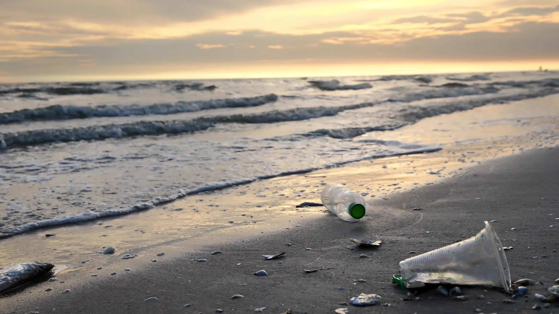 Waste and plastic pollution on the beach